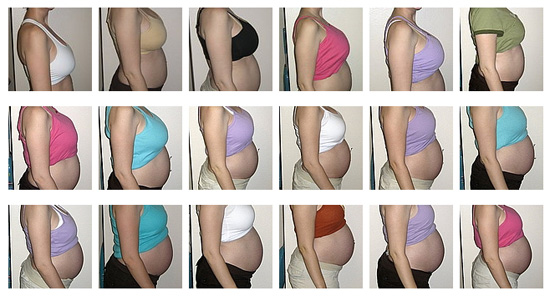 Pregnant Bellies Month By Month 25