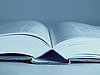 Sin 3: Wordiness