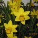 coffeemug2007's picture