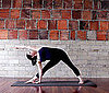 Open Extended Triangle