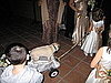 Participating pets