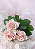 Silk flowers