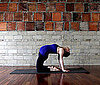 Camel Variation