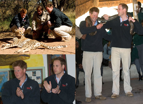prince william and prince harry 2010. Prince William and Prince