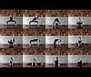What's Your Favorite Yoga Pose From This Sequence?