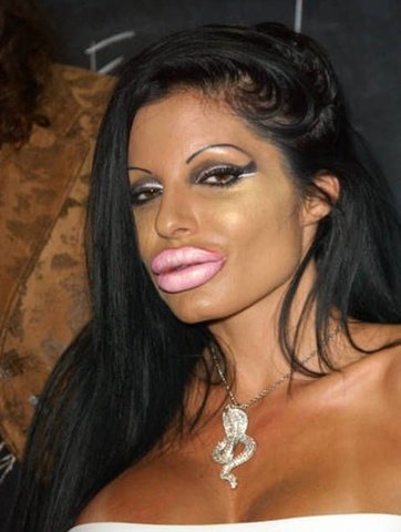 Plastic Surgery Makeup on Pool Toy Lips And Excessive Makeup Encounters Usually Prove Fatal