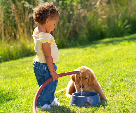 puppy wont drink water give a broth if he won t drink popsugar pets puppy wont drink water give a broth if he won t drink popsugar pets