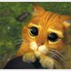 iewutia's picture