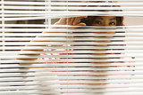 5 Sneaky Ways to Digitally Spy on Your Spouse
