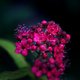 Besho0's picture