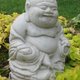 Sunflower Sutra's picture
