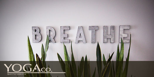 YogaCo: $5 for a Yoga Class at