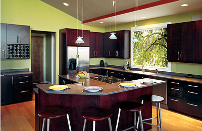 Kitchen Colors  2011 on Modern Kitchen Interior Dark Color