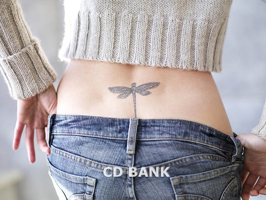 Small+dragonfly+tattoos+for+women