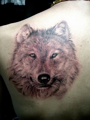 wolf tattoo design. Wolf tattoo design.