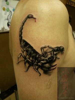 scorpion tattoo design Another scorpion tattoo design - people just love 