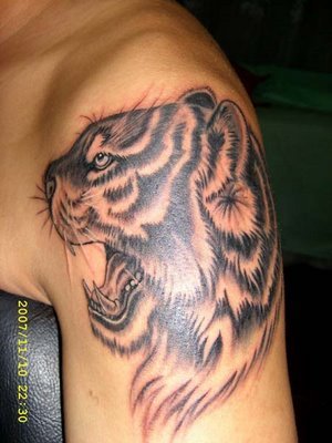 tiger free tattoo design. This tattoo photo was not taken very well - the 