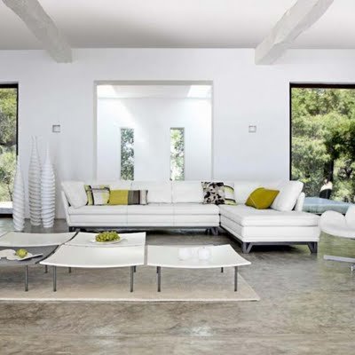 Leather  Furniture on Leather Furniture Sofas From Roche Bobois