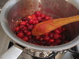 Cranberry Vodka