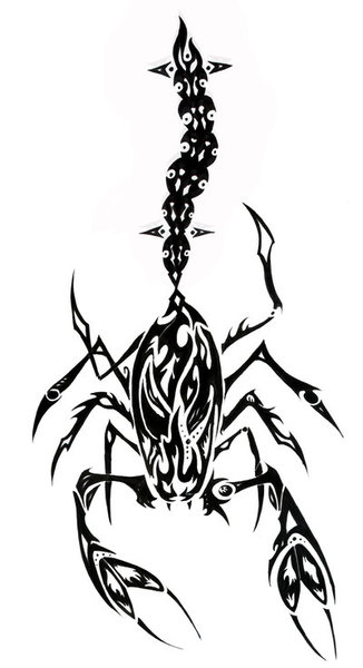 How to Draw a Tribal Scorpion, Step by Step, Tattoos, Pop Culture,
