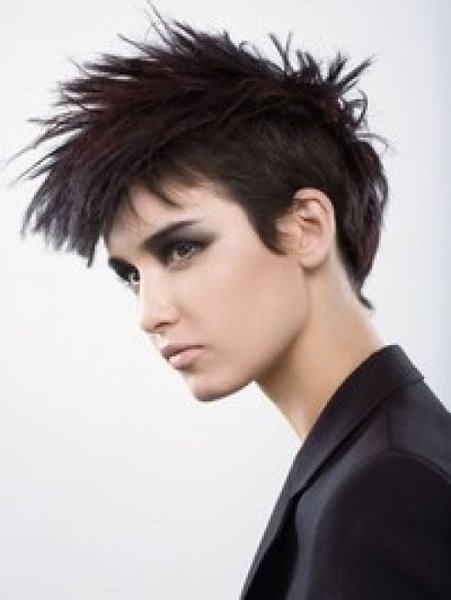 punk girl hairstyle. This punk hairstyle has an