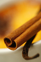 Cinnamon stick and Vanilla pod [details]