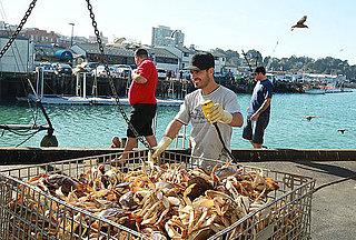Dungeness Crab Fishermen Dungeness Crab Fishermen