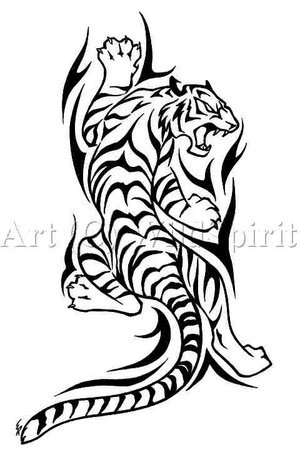 Tribal tiger tattoos designs