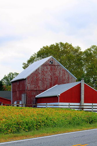 Barn in South Jersey