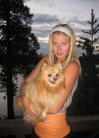 maria sharapova dog