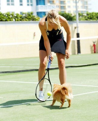 maria sharapova dog