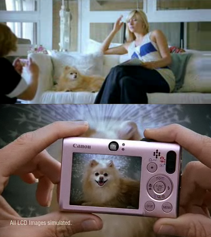 maria sharapova dog