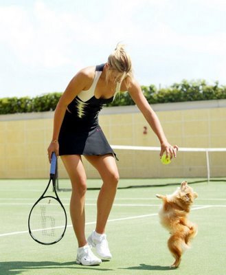 maria sharapova dog
