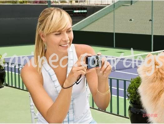 maria sharapova dog