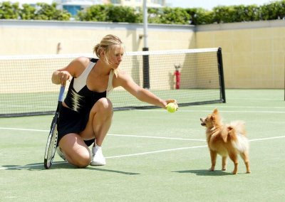 maria sharapova dog