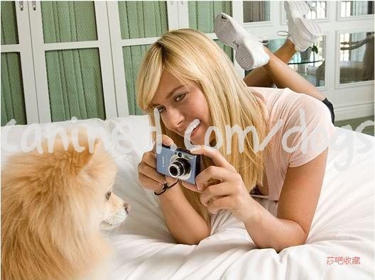 maria sharapova dog