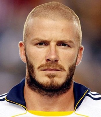 Beckham Beard Styles on David Beckham Beard