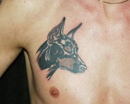 spiderman chest tattoo. Dog Chest Tattoo