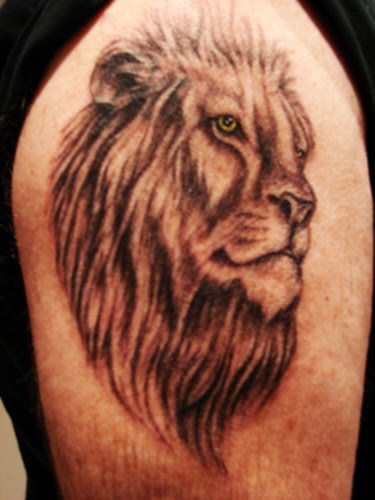 Male Lion Tattoo tattoo male