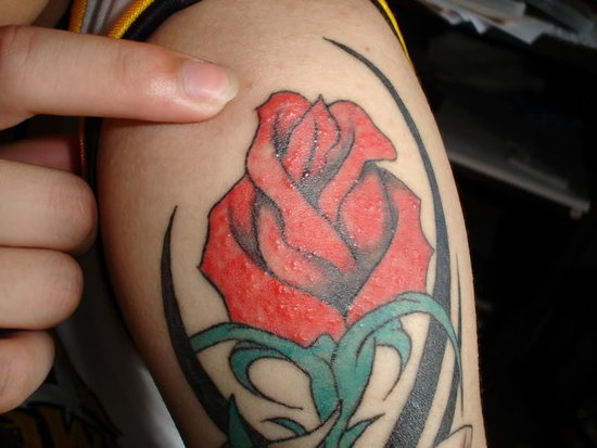 red rose tattoo. tribal red rose tattoo