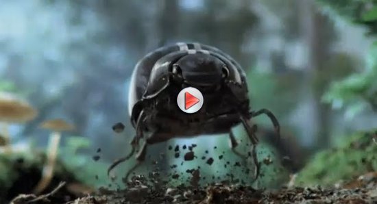 volkswagen beetle 2012 commercial. The new 2012 Volkswagen Beetle