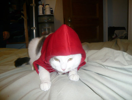 naughty cat outfit