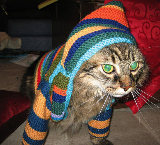 naughty cat outfit
