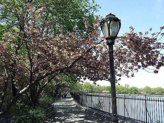 cherry hill central park nyc. Whether you frequent Central