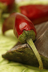 Chilli Peppers and Dark Chocolate on Green