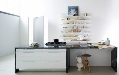 Contemporary Kitchen on Modern Contemporary Kitchen Design
