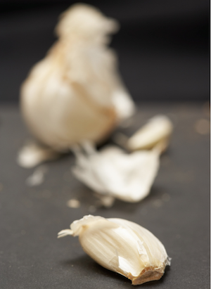 garlic garlic