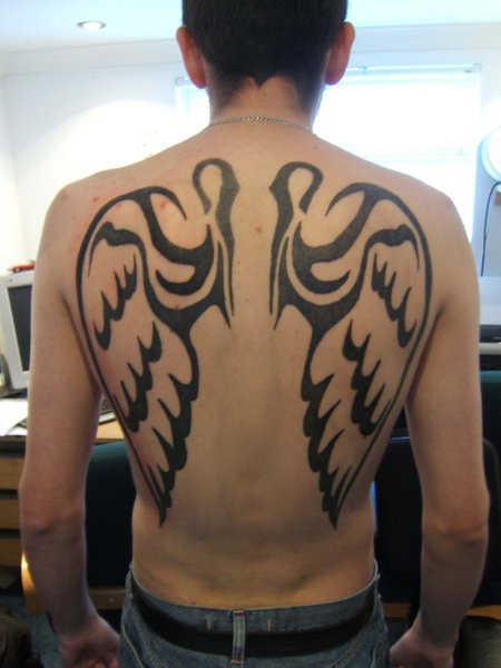 Tattoo Image Gallery, Tattoo Gallery, Tattoo Designs Info: Angel wings