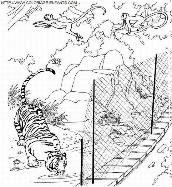 Coloring Pages Zoo Animals. coloring pages zoo animals
