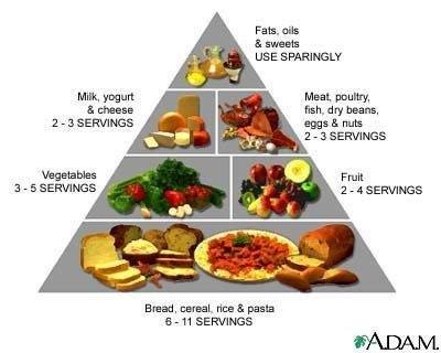 food pyramid pictures of food. images The Food Guide Pyramid